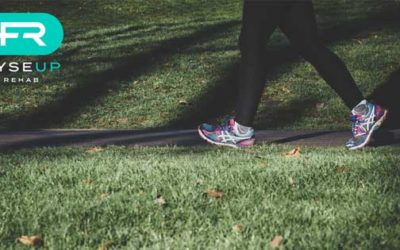 Difference Between Exercise & Activity